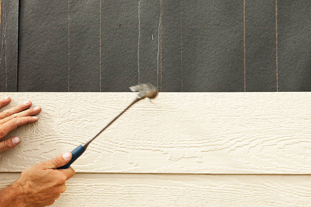 Best Insulated Siding Installation  in Fort Polk South, LA